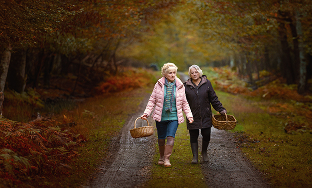 When Autumn Falls
